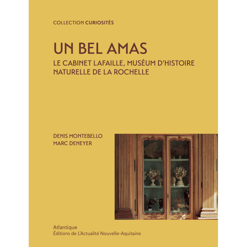 Un bel amas - Le Cabinet Lafaille, Museum de La Rochelle